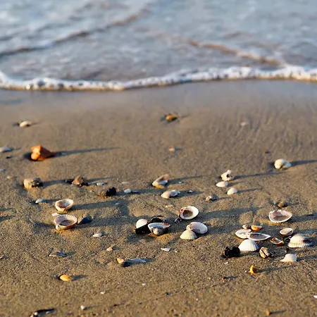 Apartamento In 40087 Bibione