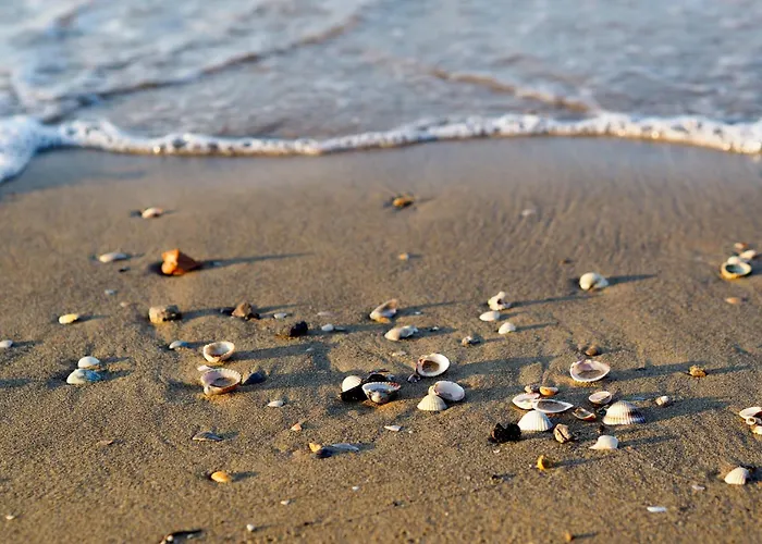 Lejlighed In 40087 Bibione